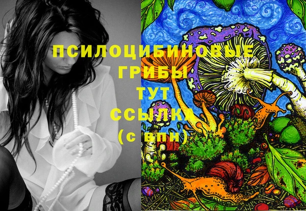 гашиш Богородск