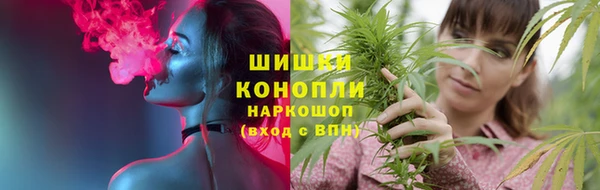 mdpv Богородицк