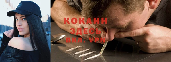 шишки Богданович