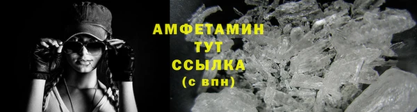 mdpv Богородицк