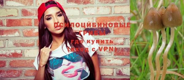 гашиш Богородск