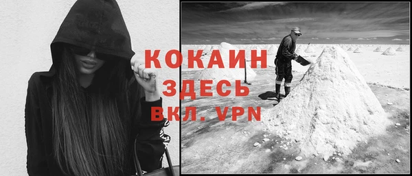mdpv Богородицк