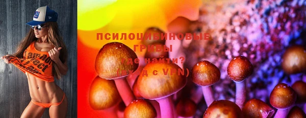 шишки Богданович