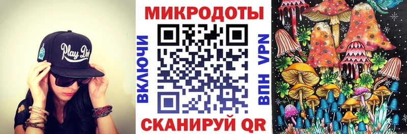 Купить  Могоча  Псилоцибиновые грибы GOLDEN TEACHER 
